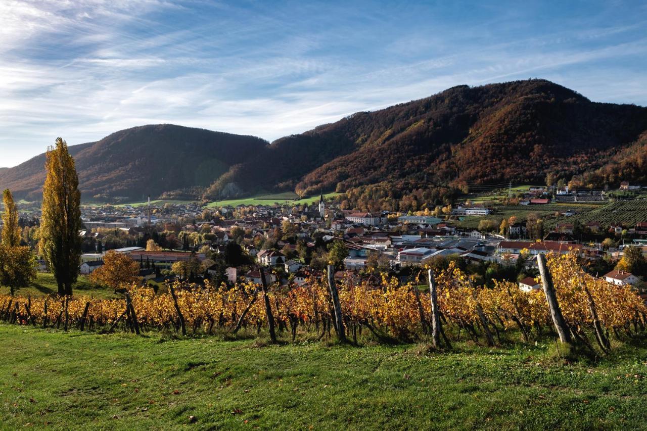 Dvorec Trebnik - Sobe Slovenske Konjice Exteriér fotografie