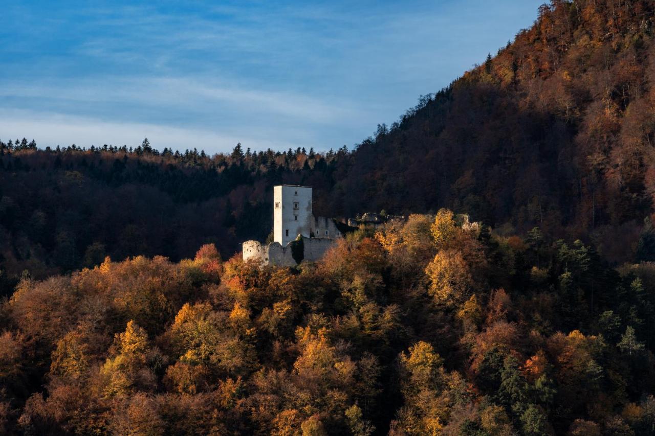 Dvorec Trebnik - Sobe Slovenske Konjice Exteriér fotografie