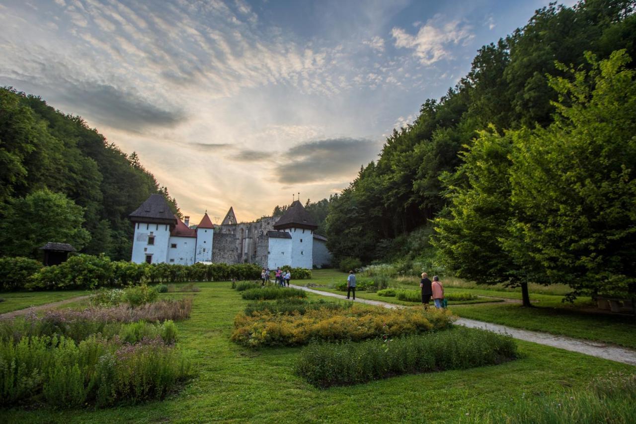Dvorec Trebnik - Sobe Slovenske Konjice Exteriér fotografie