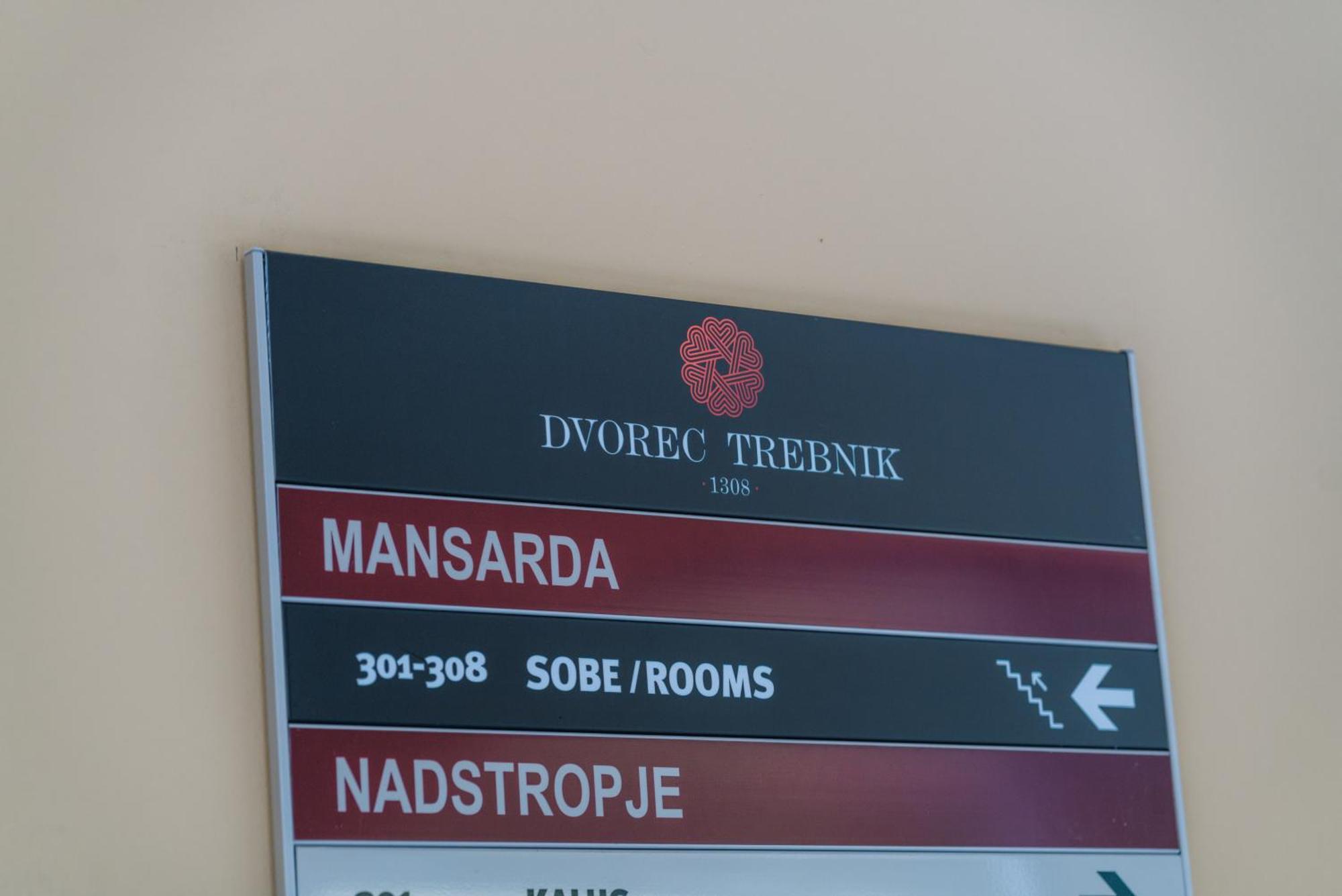 Dvorec Trebnik - Sobe Slovenske Konjice Exteriér fotografie
